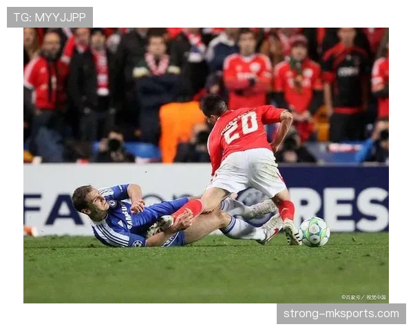 本菲卡防线稳固，争冠形势持续向好